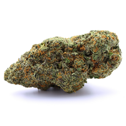 SUPER CANDY (Amerikanische Genetik)