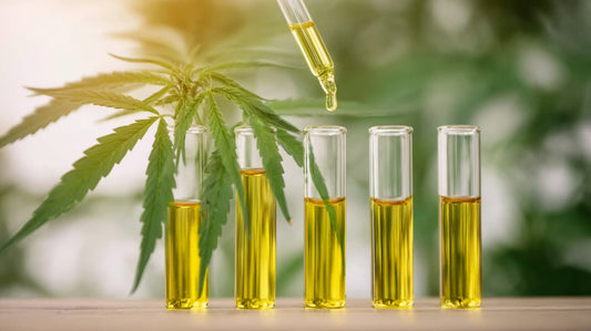 Unterschiede zwischen Vollspektrum und Breitspektrum