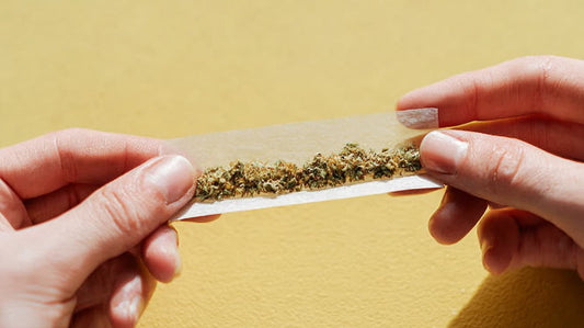Einen Joint ohne Tabak drehen