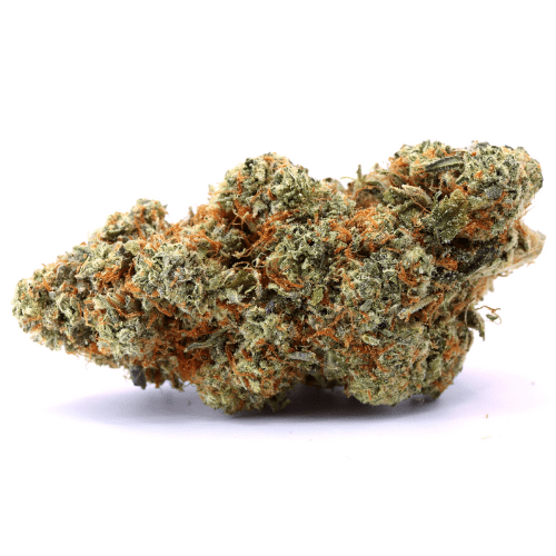 Orange Bud 10HCP