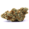 Orange Bud 10HCP